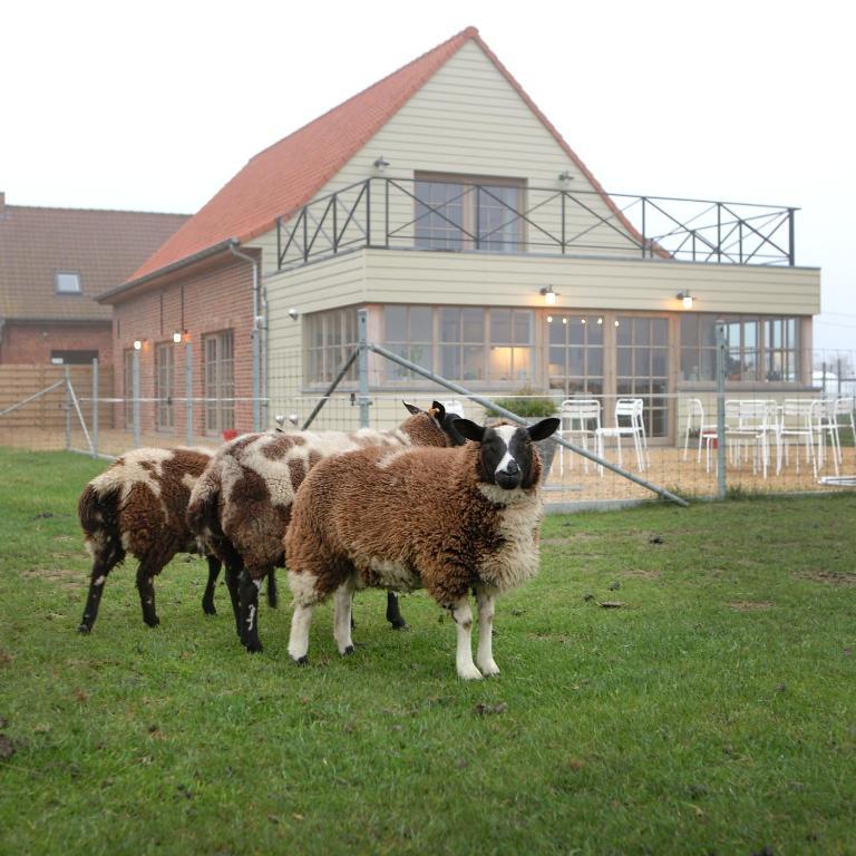 B&B Back2Front Boezinge Exterior photo